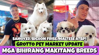 HALO HALONG BREEDS NA BIHIRA SA PET MARKET | GROOTO PET MARKET | MARCH 24, 2024