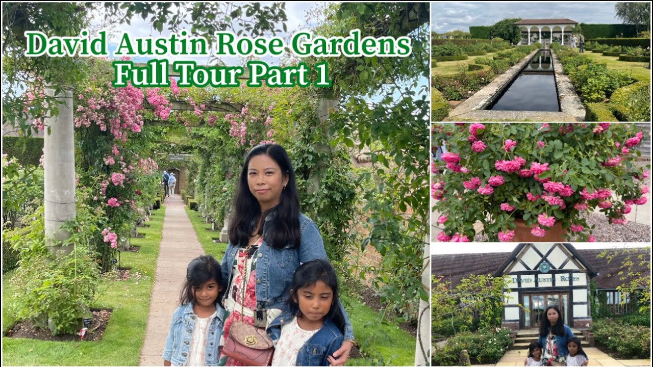 Download David Austin Rose Gardens & Plant Centre Tour August 2021 with Rose Review|Birthday Special | Part 1