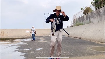 Câu Hechi cá tráp không dùng cần câu và máy câu #ThửTháchCâuCáSiêuKhó