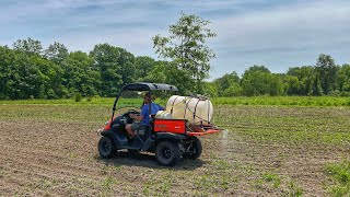 Food Plot Maintenance - Spraying for Weeds by Living Our American Dream 219 views 8 months ago 4 minutes, 33 seconds