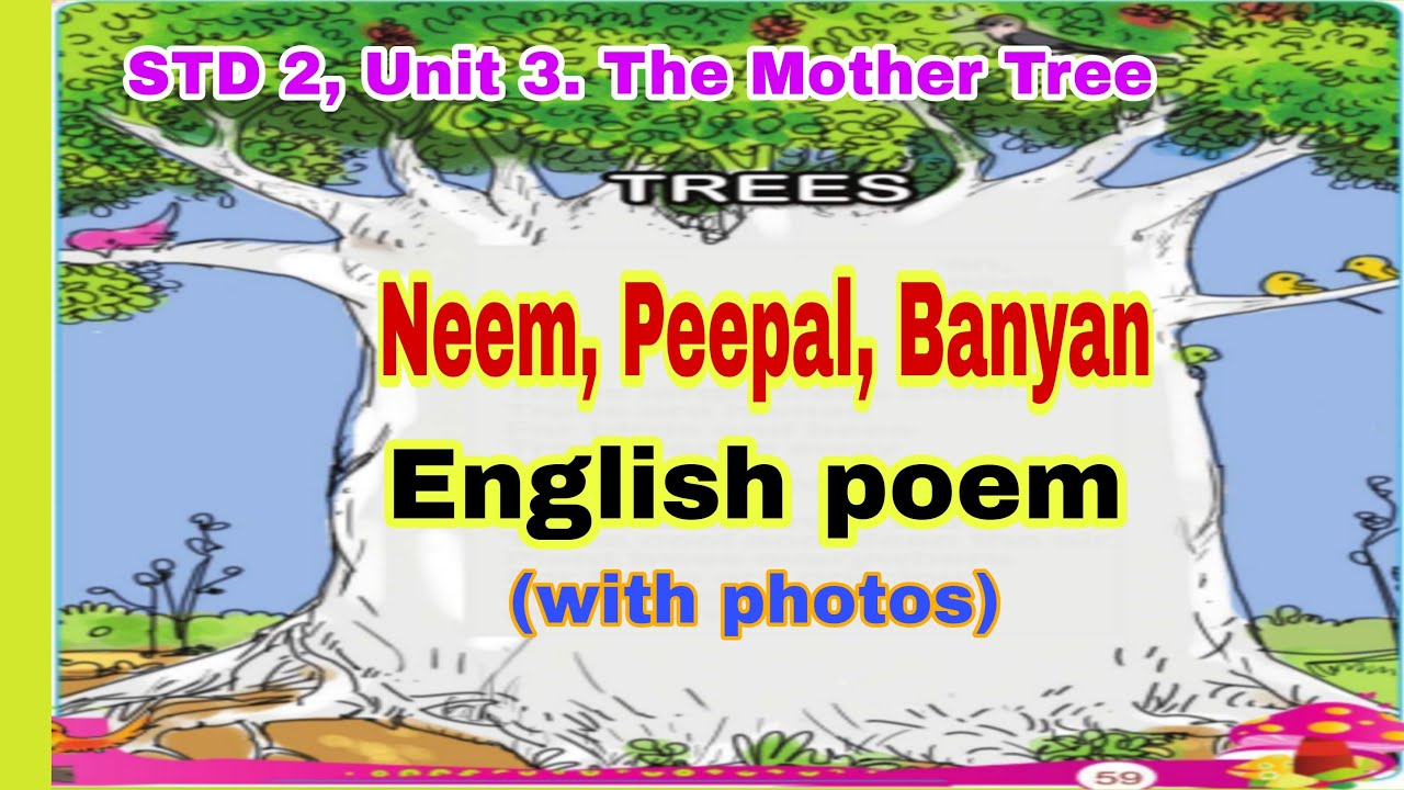 Neem, Peepal, Banyan English poem class 2 The mother tree KADALASU