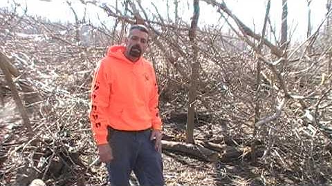 jimwardwhitetailacademy.com - #2 Manipulating Habitat To Create Bedding and Tree Stand Locations