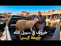 🔴الله على سوق الجمعة كيسر🇲🇦مع أثمنه الحولي بحث عن خروف في سبيل الله 4000dhب🤑صدقة جارية وفرحة كبيرة❤️