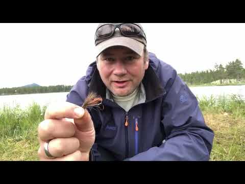 Video: Hvordan Gå På Helgetur