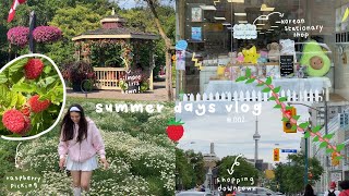 vlog: raspberry picking, visiting the gilmore girls town and shopping downtown