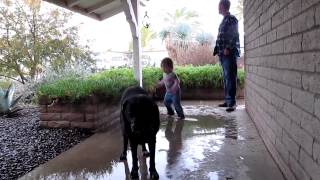 Spring puddle jumping