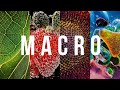 Winning the iPhone Macro Challenge