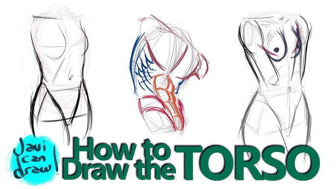 HOW TO DRAW BREASTS 