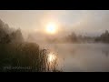 Smooth Jazz Harmony | Soft Healing Jazz for Better Sleep