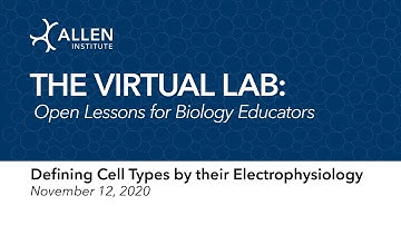 The Virtual Science Lab: Defining Cell Types by their Electrophysiology