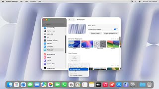 How To Use Custom Wallpaper on macOS [Guide]