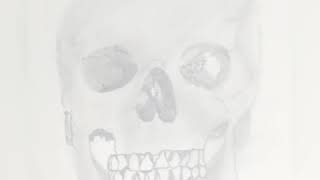 Portraits And Sketches