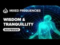 Empower yourself with wisdom  tranquillity  all 9 solfeggio frequencies  theta binaural beats