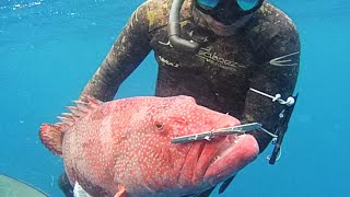 Chasse Sous Marine Aux Comores Episode 3