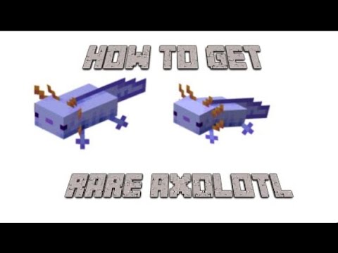 How To Summon Blue Axolotl Minecraft Command Bedrock