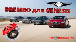 Brembo вместо ATE на GENESIS G80