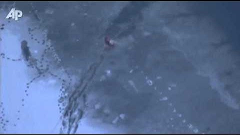 Raw Video: Dog Rescued From Icy Colo. Water