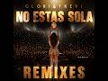 Gloria Trevi - No Estаs Sola [DJ Edson Guiding Light Radio Mix]