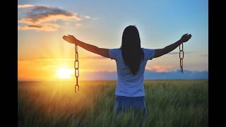 How Regulatory Bullying is Destroying BC’s Creative Force & Housing Supply