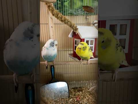 They Are So Serious Right Now