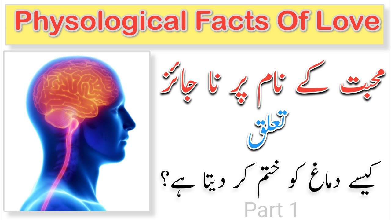 10 Amazing life Changing Facts || new viral trending facts || fact2024