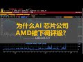 $AMD人工智能芯片评级下调 ｜ 市场热点切换 ｜ 中国大量囤积AI芯片 ｜ 特斯拉$TSLA财报是否可以双买？