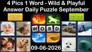 4 Pics 1 Word - ANSWER 06 September 2026 –Wild & Playful - Daily Puzzle + Bonus (Solution) screenshot 3