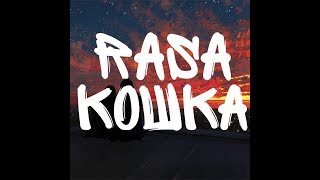 RASA - Кошка (песня+текст)