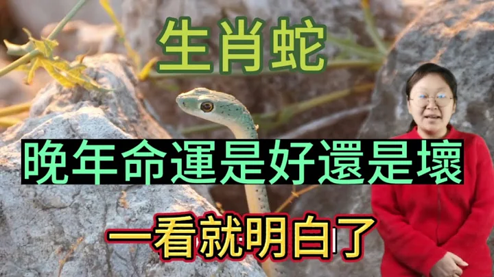 生肖蛇！晚年的命運是好還是壞？一看就知道答案了！屬蛇人命中最大的坎！ - 天天要聞