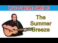 The Summer Breeze - Original (c) Roger McGuire