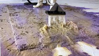 Clean Carpets Beautifully | Shaggy Carpet Extreme Recovery - Carpet Cleaning Satisfying ASMR