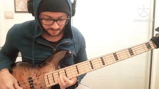 Chris Brown - Undecided (bass cover)
