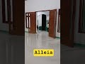 Alleia