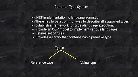 Common Type System in VB.NET | Common Type System in .NET | CTS in VB.NET