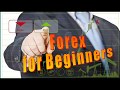 The Best Forex Trading System for Beginners