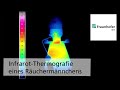 Fraunhofer IKTS: Infrarot-Thermographie eines Räuchermännchens