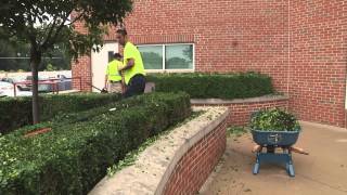 O'FallonTV: Landscape Worker | O'Fallon, Missouri