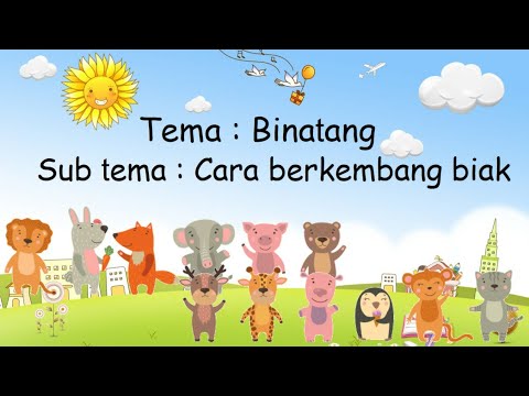 Video: Cara Mengajar Anak Membiak