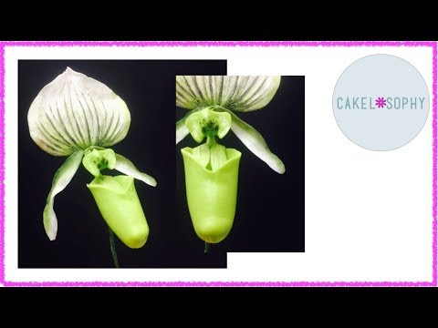 Video: Why The Flower Was Called "lady's Slipper"