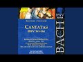 Miniature de la vidéo de la chanson Kantate, Bwv 164 "Ihr, Die Ihr Euch Von Christo Nennet": Ii. Recitativo (Basso) "Wir Hören Zwar, Was Selbst Die Liebe Spricht"