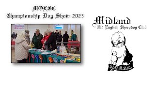 Applejem   MOESC Championship Show   03122023 by Applejem Old English Sheepdogs 294 views 3 months ago 2 hours, 21 minutes