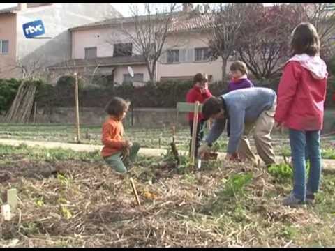 Vídeo: Els Lliris S’han Esvaït: Què Fer Després? Sortint Després De La Floració. Necessito Tallar Flors Al Jardí? Quan Es Poden Plantar Lliris?