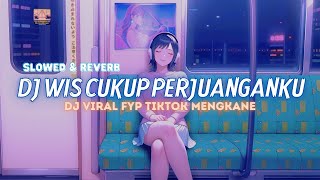 DJ Wes Cukup Perjuanganku || DJ Tetangis (Slowed \u0026 Reverb) Viral TikTok Terbaru 2024