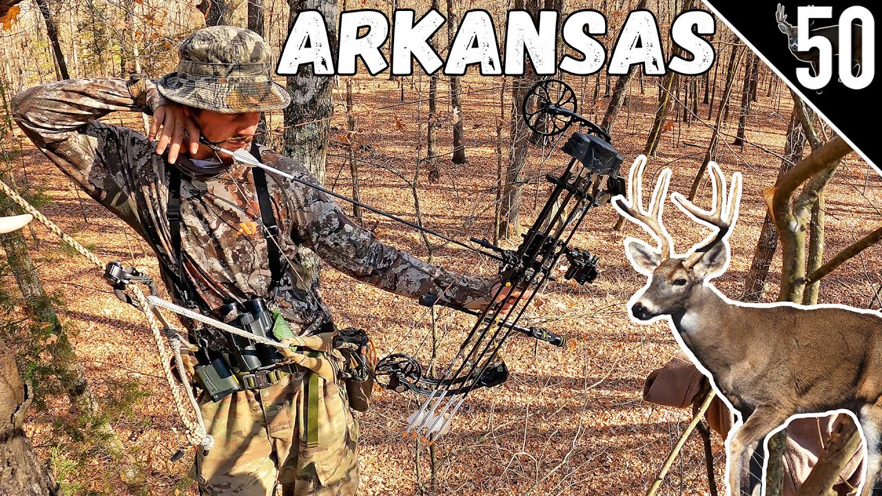 ARKANSAS DEER HUNTING!!! (Public Land with a BOW!) YouTube