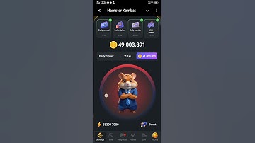 24 August Hamster Kombat Daily Cipher Code Today