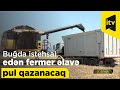 Buğda istehsal edən fermer əlavə pul qazanacaq