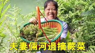 The water by the river was so long that the couple rowed a boat to pick it. A basket full of it was