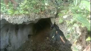 Benteng tersembunyi wilayah Mandati