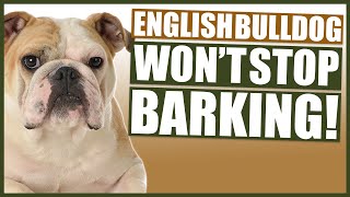 How To Stop Your ENGLISH BULLDOG BARKING