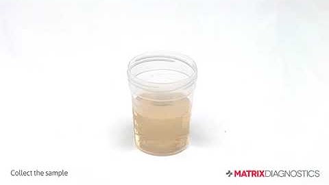 Matrix Diagnostics - How to use a Matrix Pregnancy Test